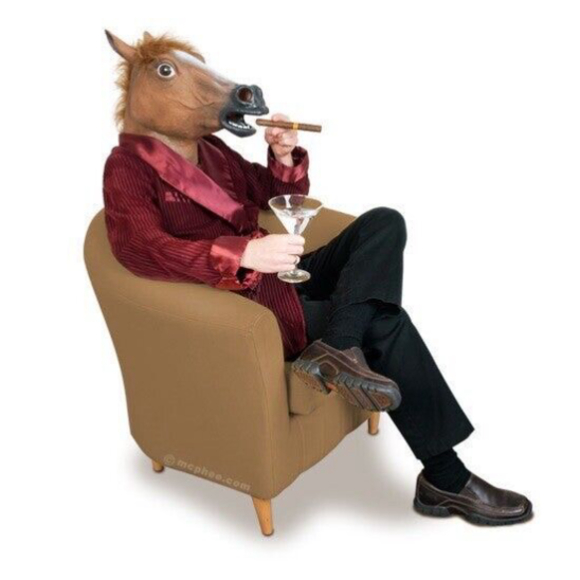 HORSE Mask FULL SIZE Life-Like Realistic Costume Adult HEAD Latex Brown Furry - Picture 4 of 5
